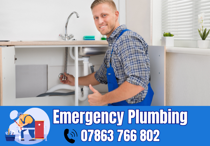  plumber Thorley Lane