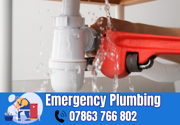  plumber Baguley